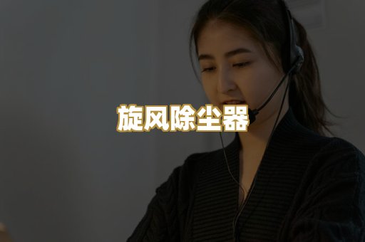 旋风除尘器